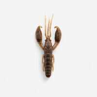 CRAYFISH SOFT LURE WITH ATTRACTANT WXM YUBARI CRW 2.5" 6.5 cm PUMPKIN BLUE
