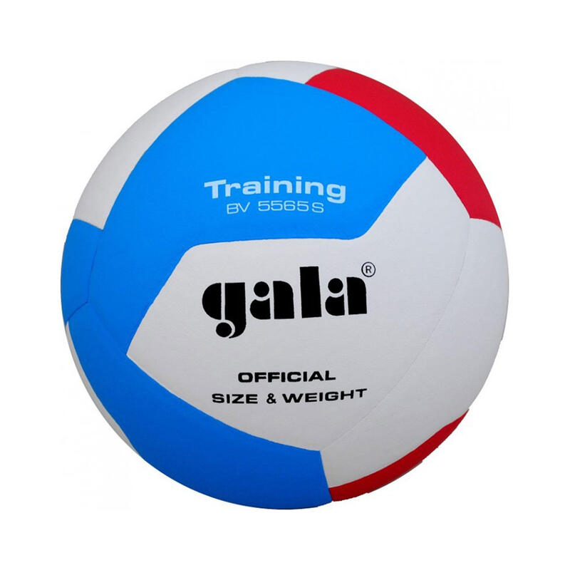 Volejbalový míč Training BV5565 S