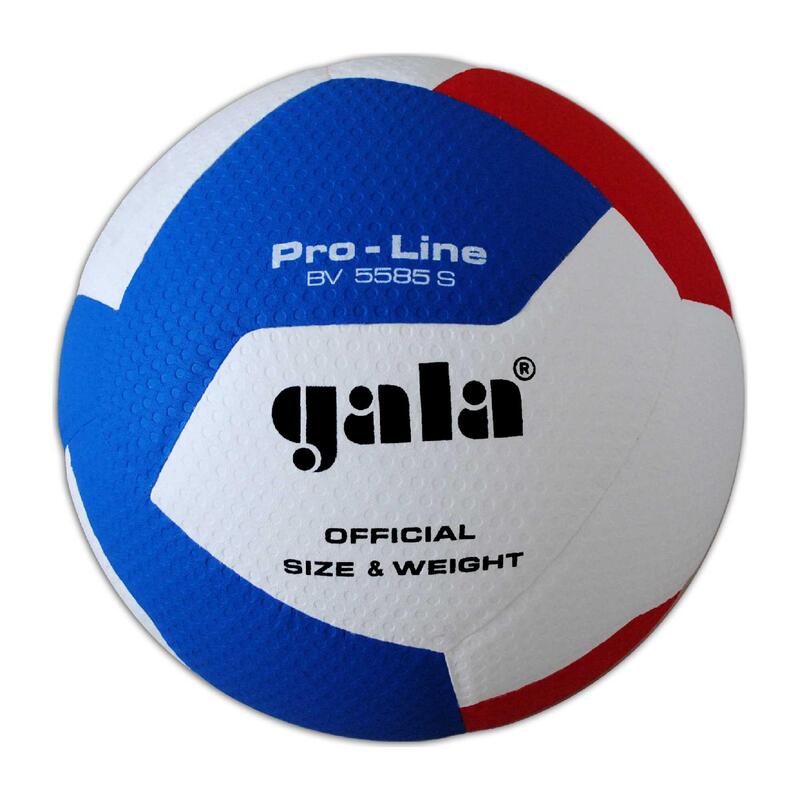 Volejbalový míč Pro Line BV5585 S