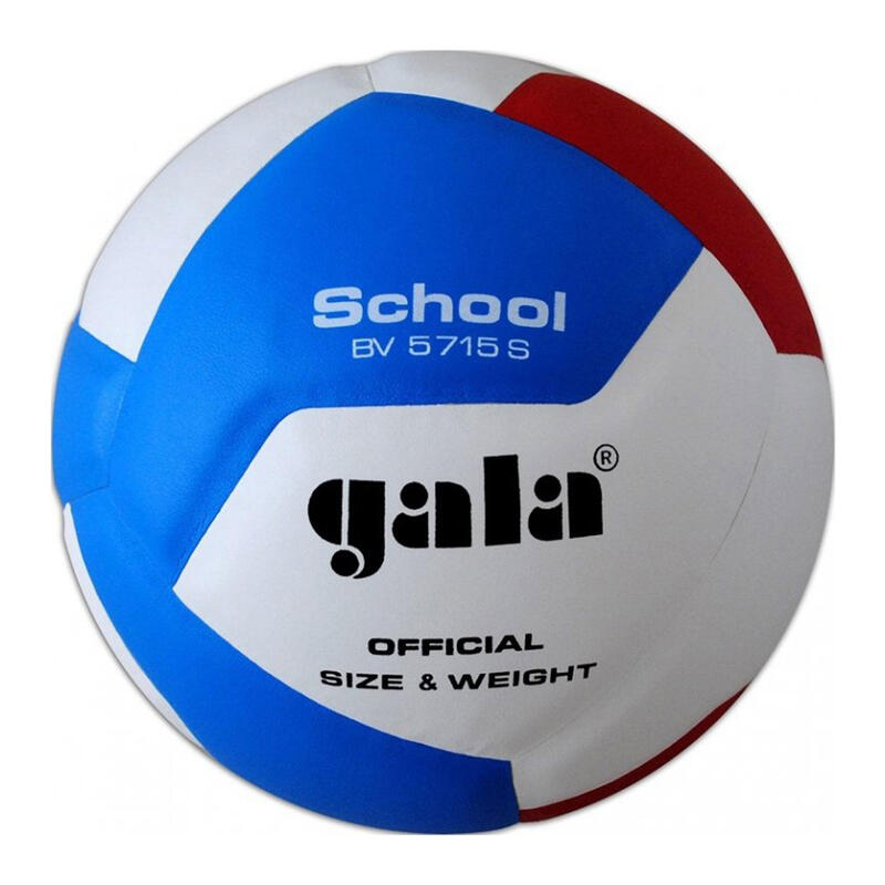 Volejbalový míč School BV5715S