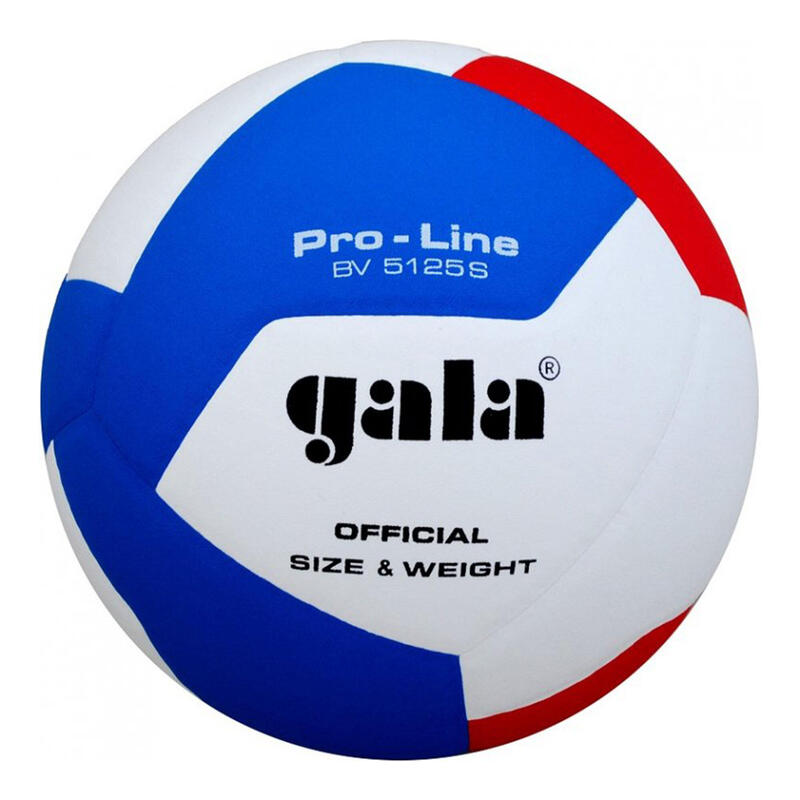 Volejbalový míč Pro line BV5125 S