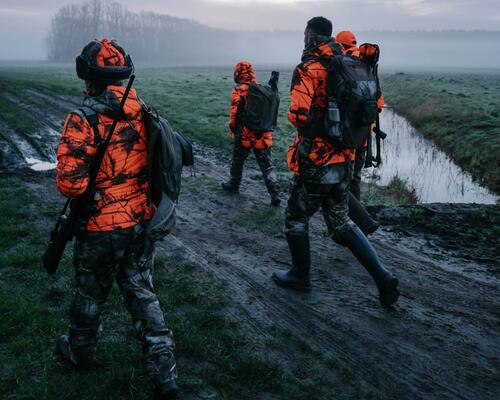 Battue au grand gibier : des chasseurs habillés en fluo vont se poster