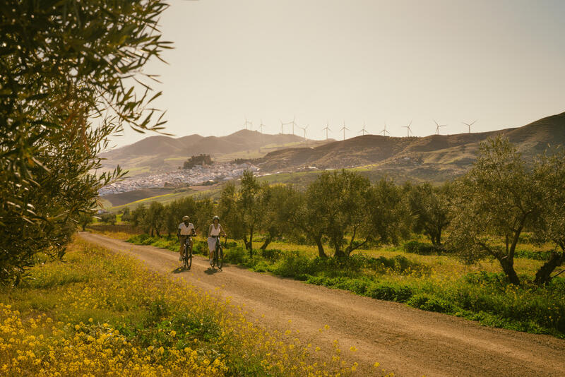 Die Vorteile von Touren mit dem Trekkingrad