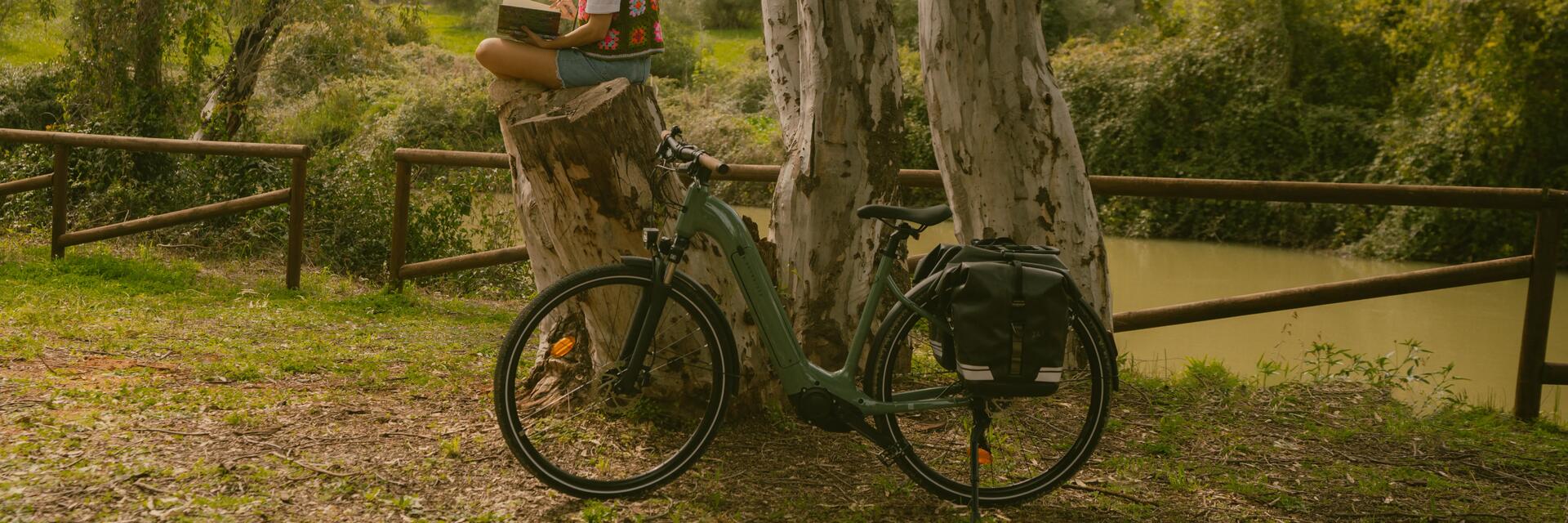 Akku-E-Bike 