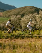 Riparazione Ciclismo