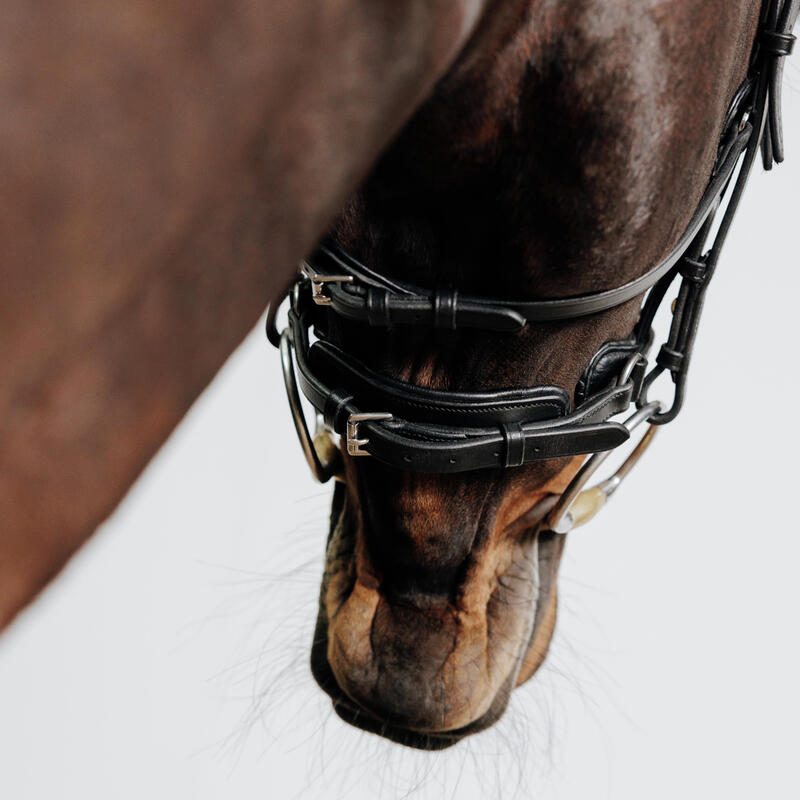 Cabeçada em Couro de Equitação Focinheira Francesa para Cavalo e Pónei 900 Preto