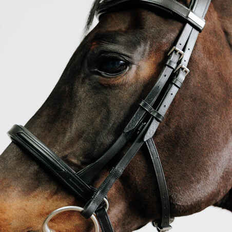 Horse Riding Leather Bridle With French Noseband for Horse & Pony 900 - Black