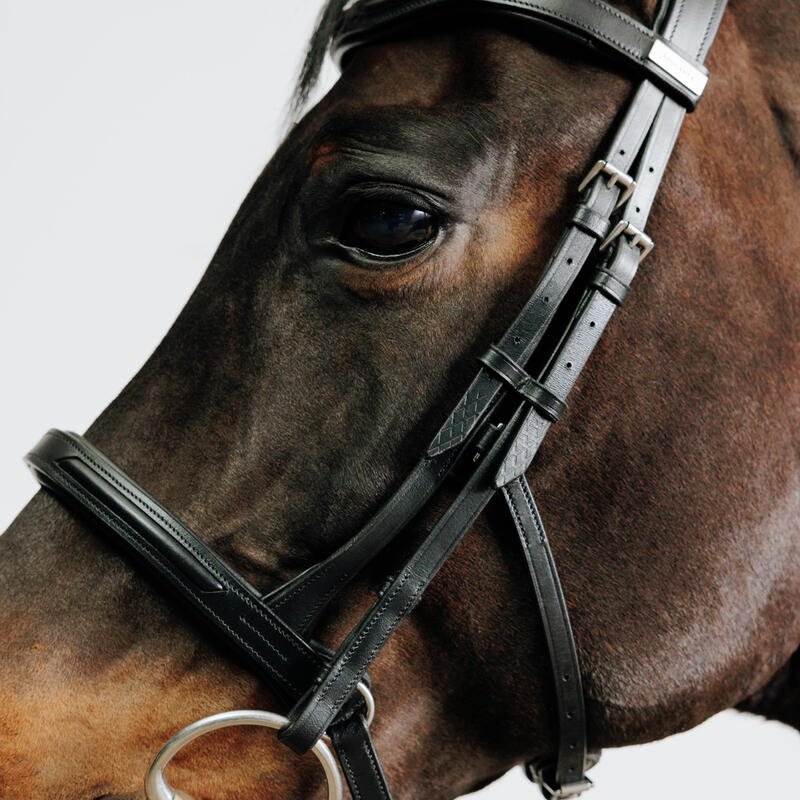 Hoofdstel voor paard en pony 900 Franse neusriem leer zwart