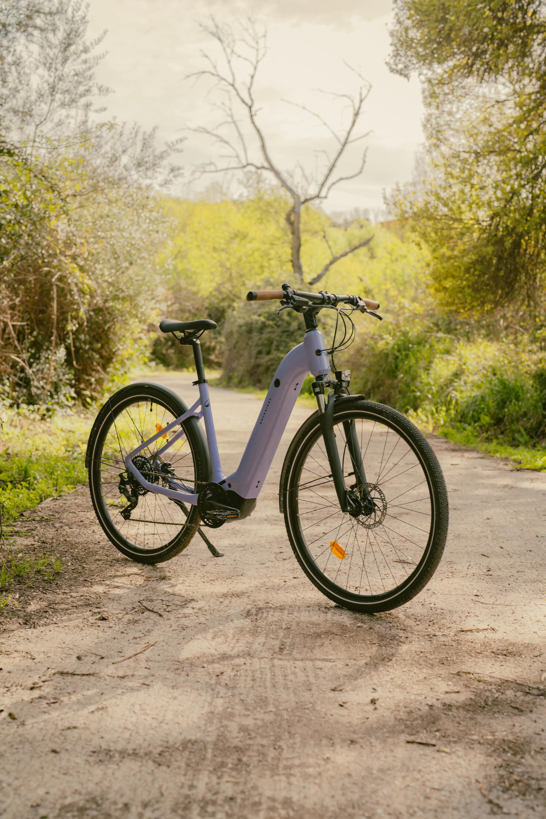 e-bike trekking