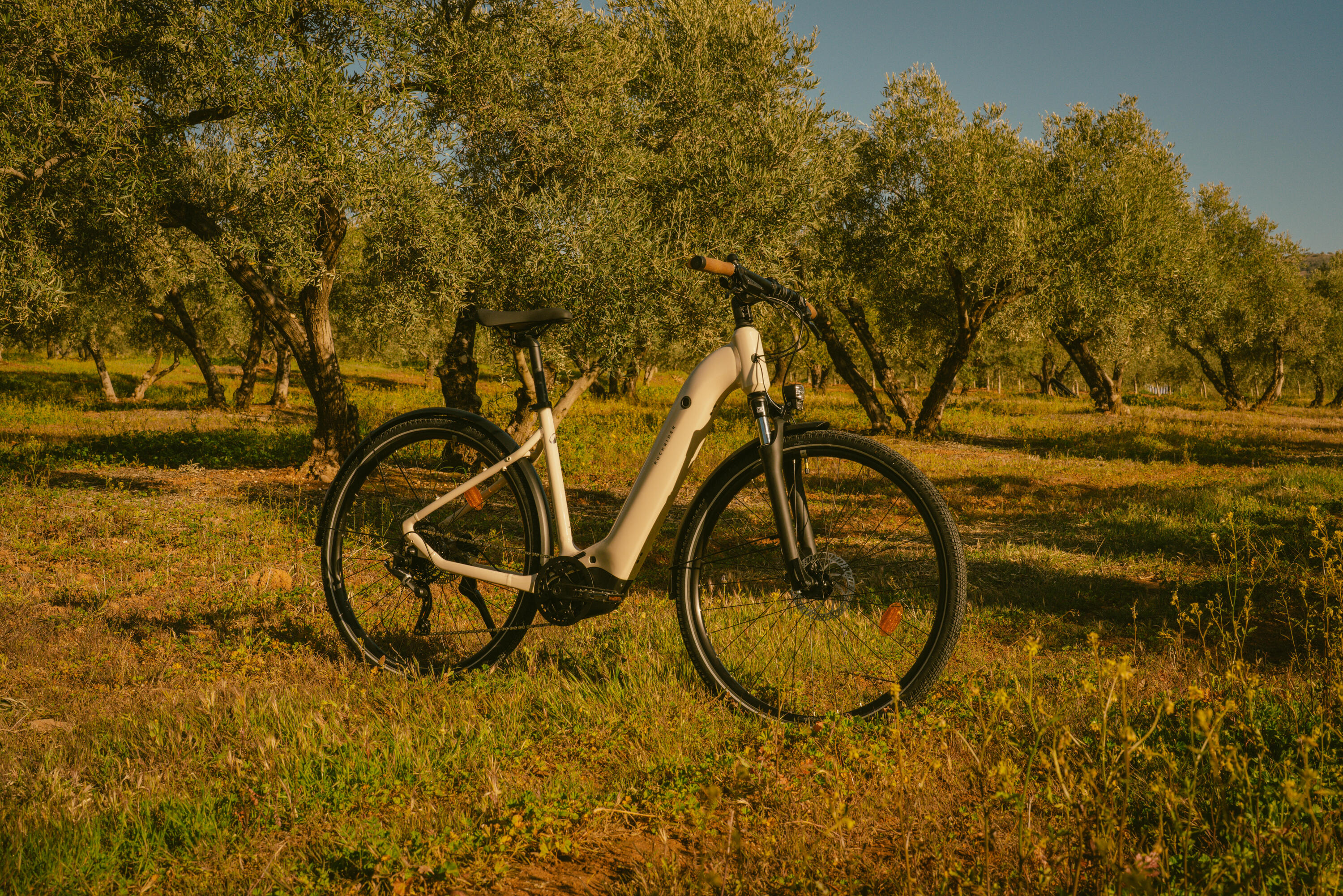E-Bike SUV Trekking 28 Zoll e-actv 500 LF niedriger Einstieg Yamaha beige