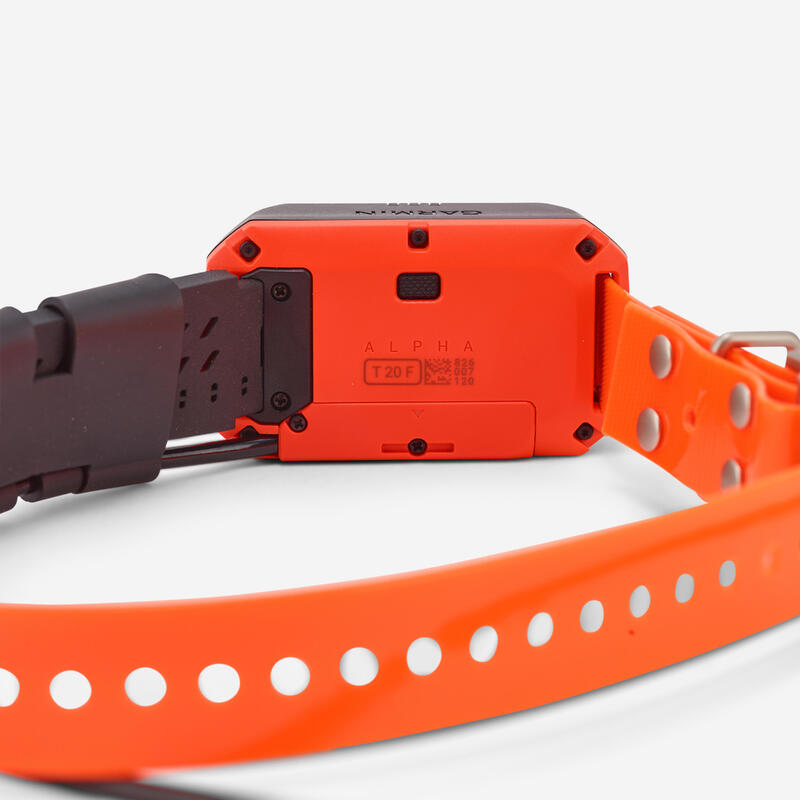 Collier repérage pour chien GARMIN T20F