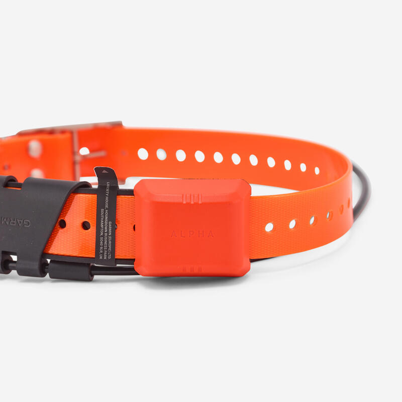 Collier repérage pour chien GARMIN T20F