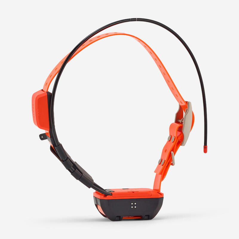 Collier repérage pour chien GARMIN T20F