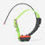 Collier repérage et dressage pour chien garmin tt25f