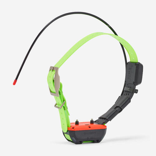 Collier repérage et dressage pour chien garmin tt25f
