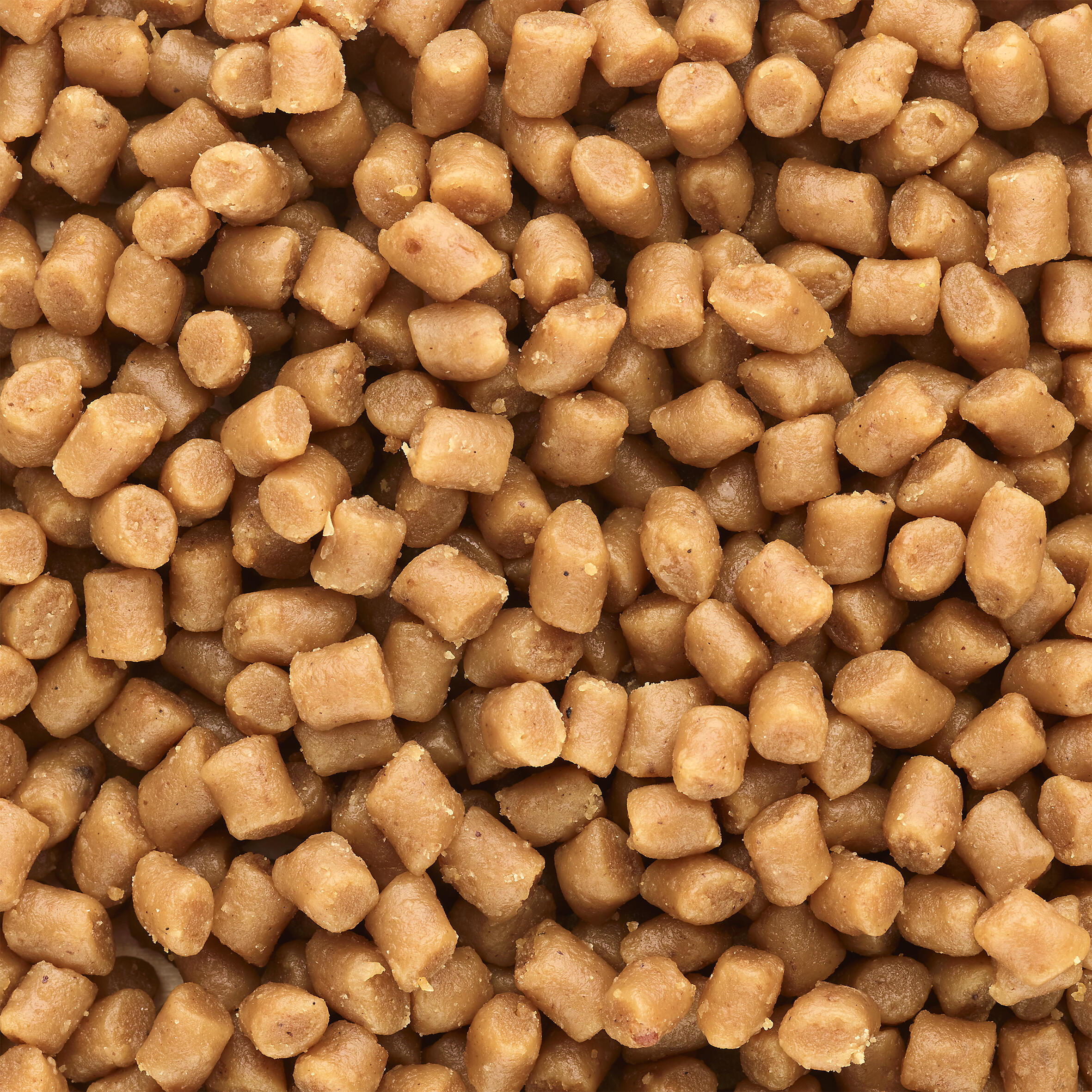 Soft pellet voor zeevissen kaas 6 mm 2/3