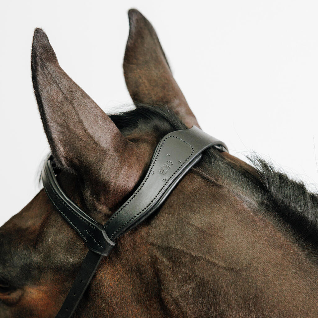 Horse and Pony Bitless Bridle - Brown