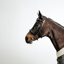 Hoofdstel voor paardrijden paard en pony 900 Franse neusriem leer zwart