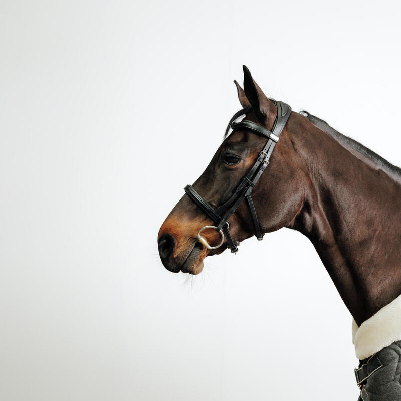 Cabeçada em Couro de Equitação Focinheira Francesa para Cavalo e Pónei 900 Preto
