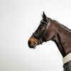 Zirgu jāšanas ādas iemaukti ar franču deguna siksnu “900”, melni