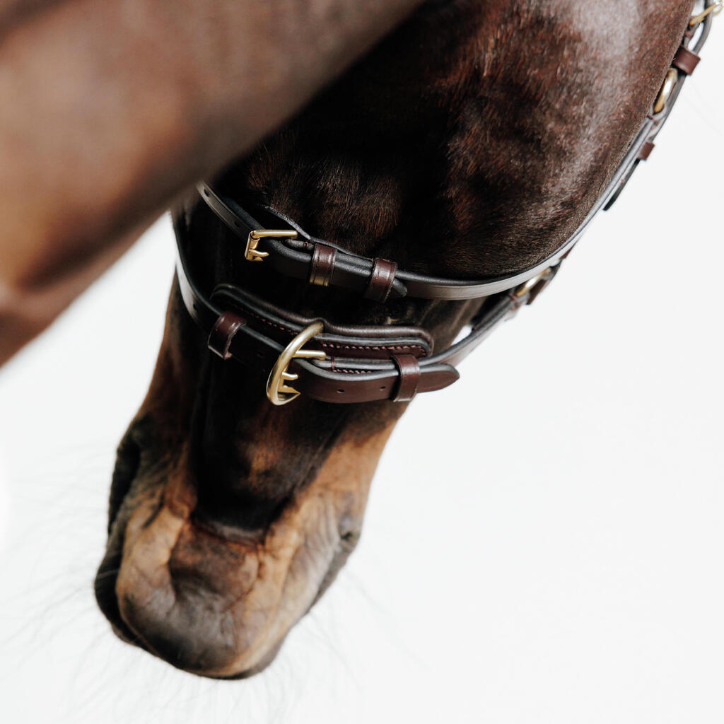 Horse and Pony Bitless Bridle - Brown