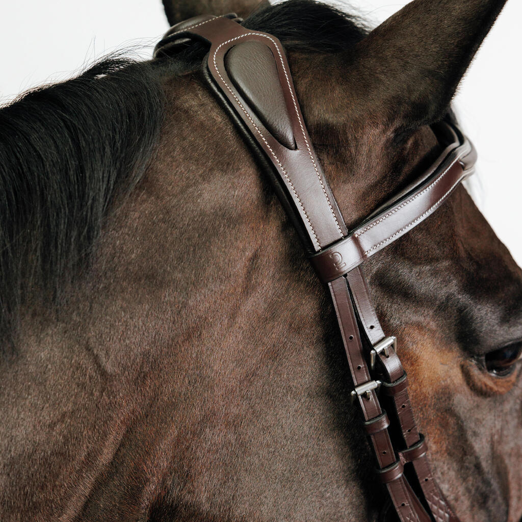 Horse Riding Horse & Pony Leather Bridle With French Noseband 900 - Dark Brown