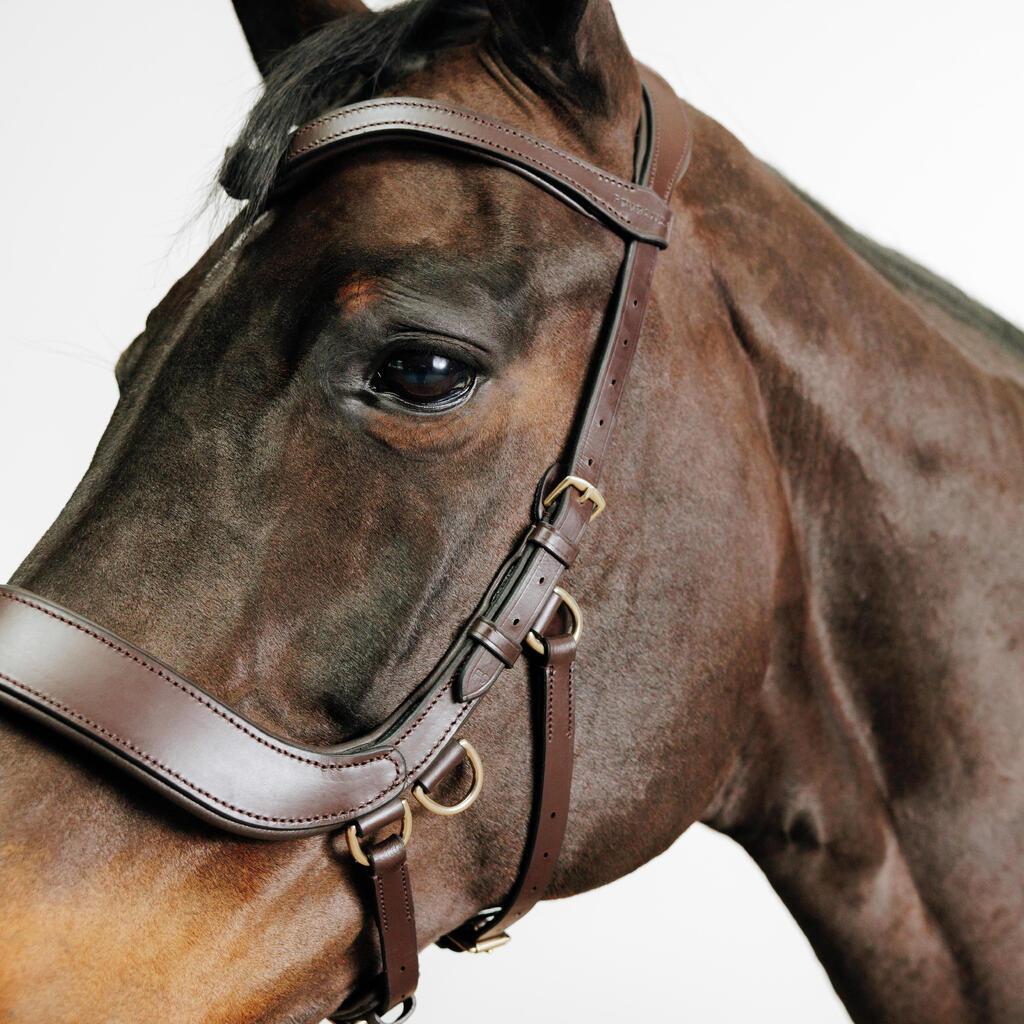 Horse and Pony Bitless Bridle - Brown