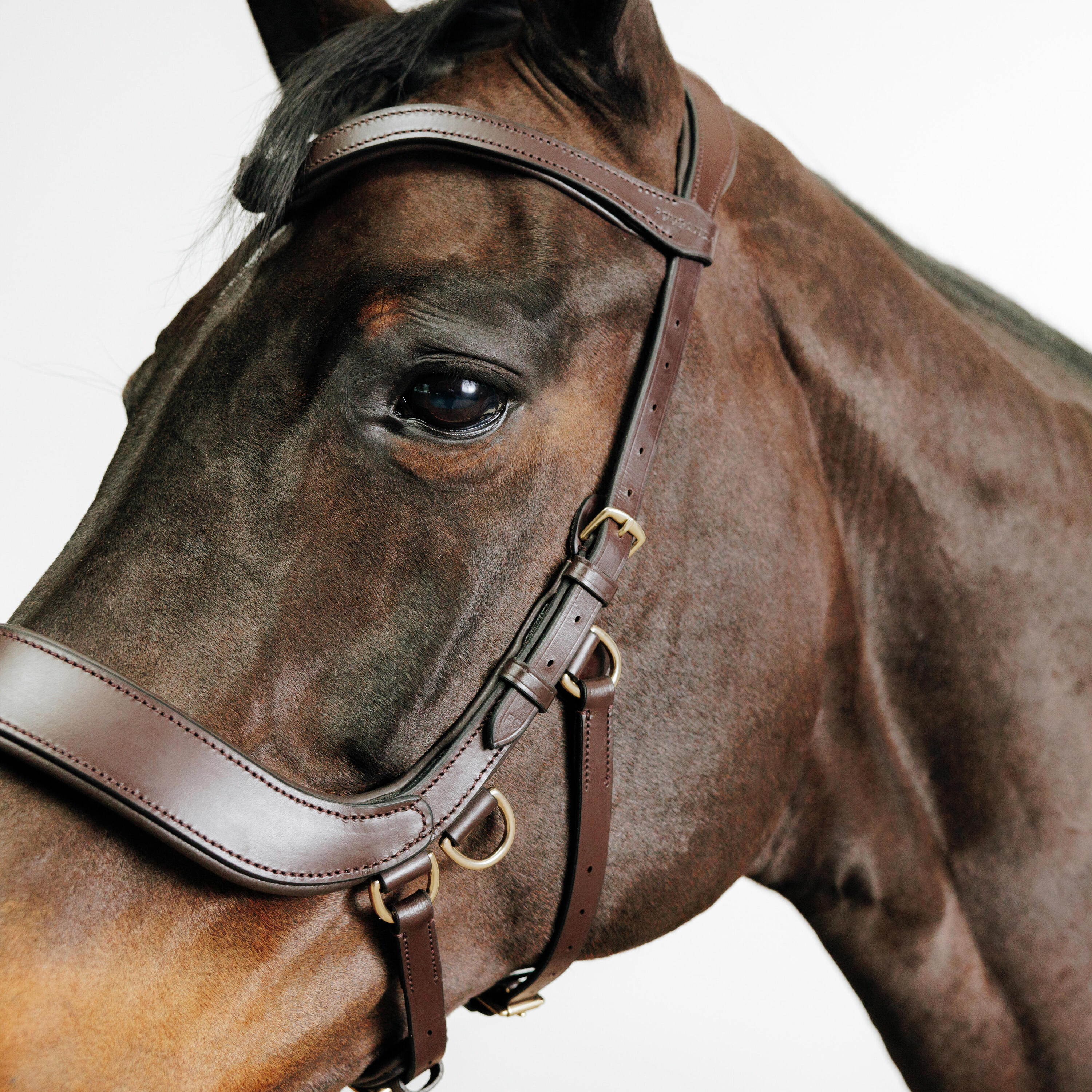 Horse and Pony Bitless Bridle - Brown 3/4