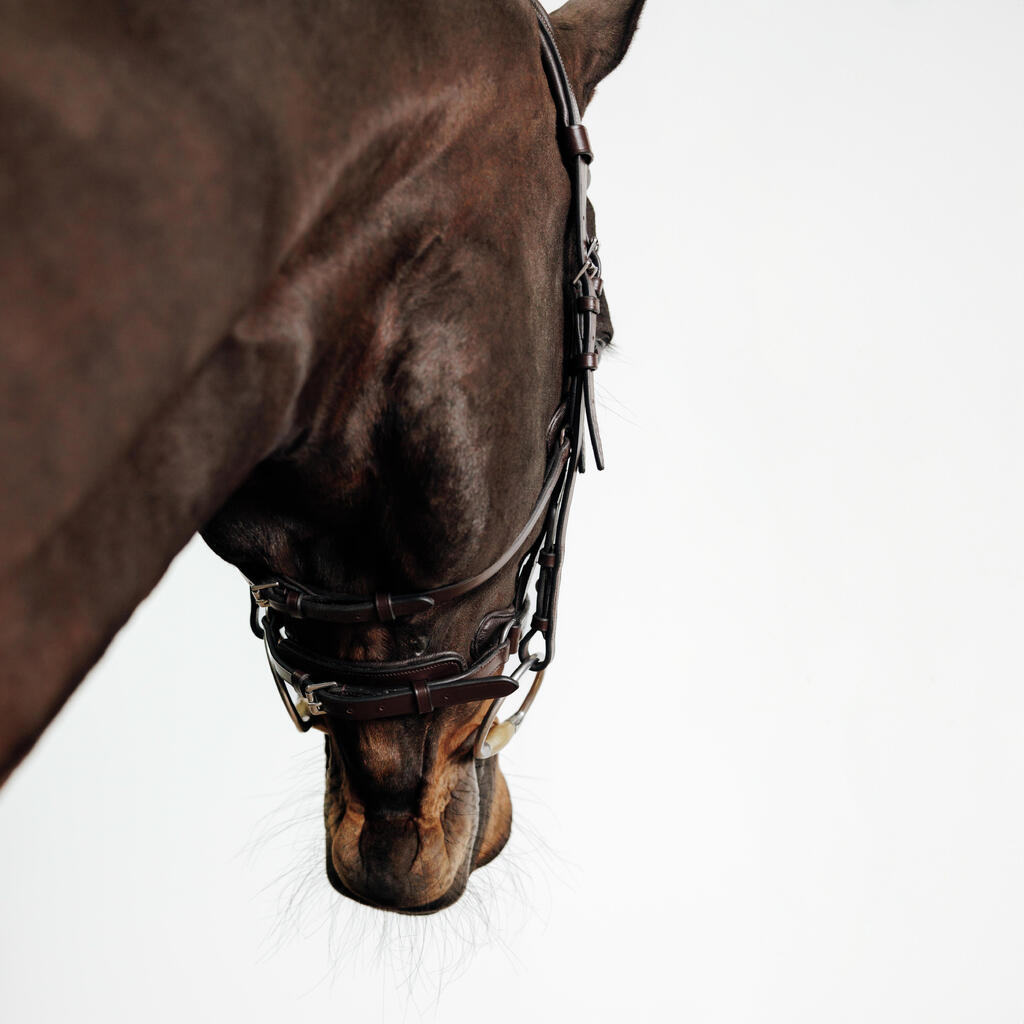 Horse Riding Horse & Pony Leather Bridle With French Noseband 900 - Dark Brown