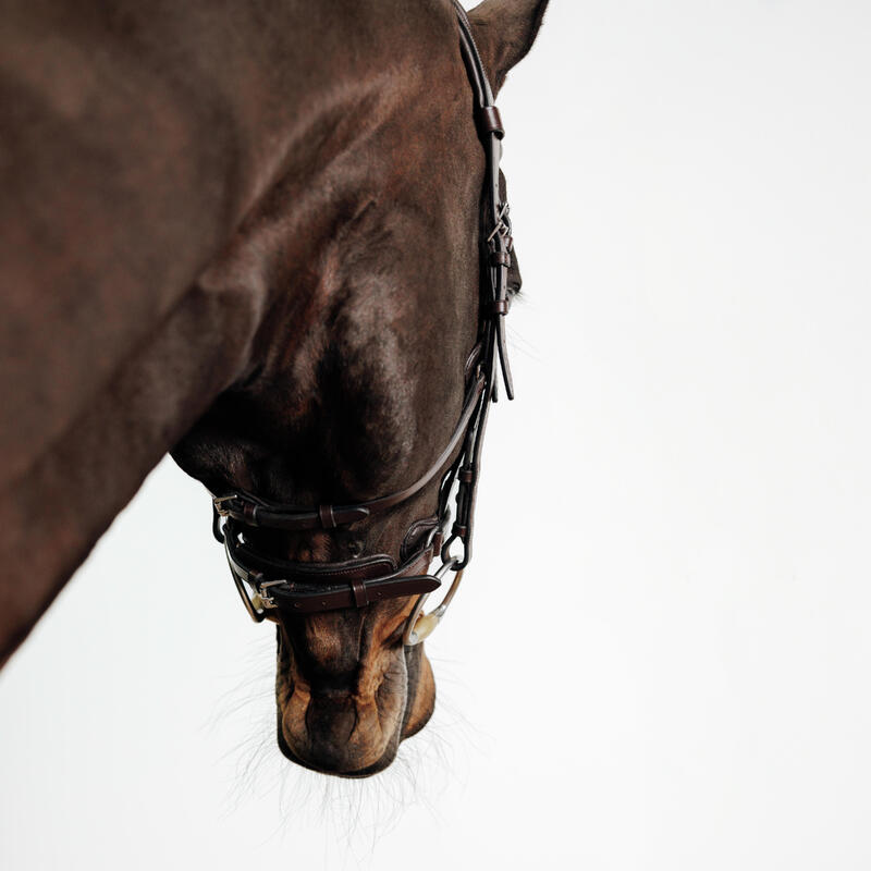 Filet équitation cuir muserolle française Cheval et Poney - 900 marron foncé