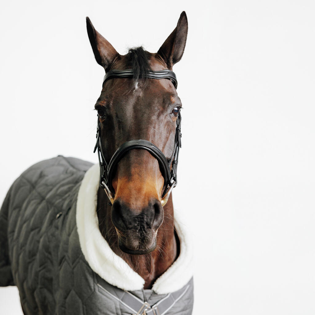 Horse Riding Horse & Pony Leather Bridle With French Noseband 900 - Dark Brown