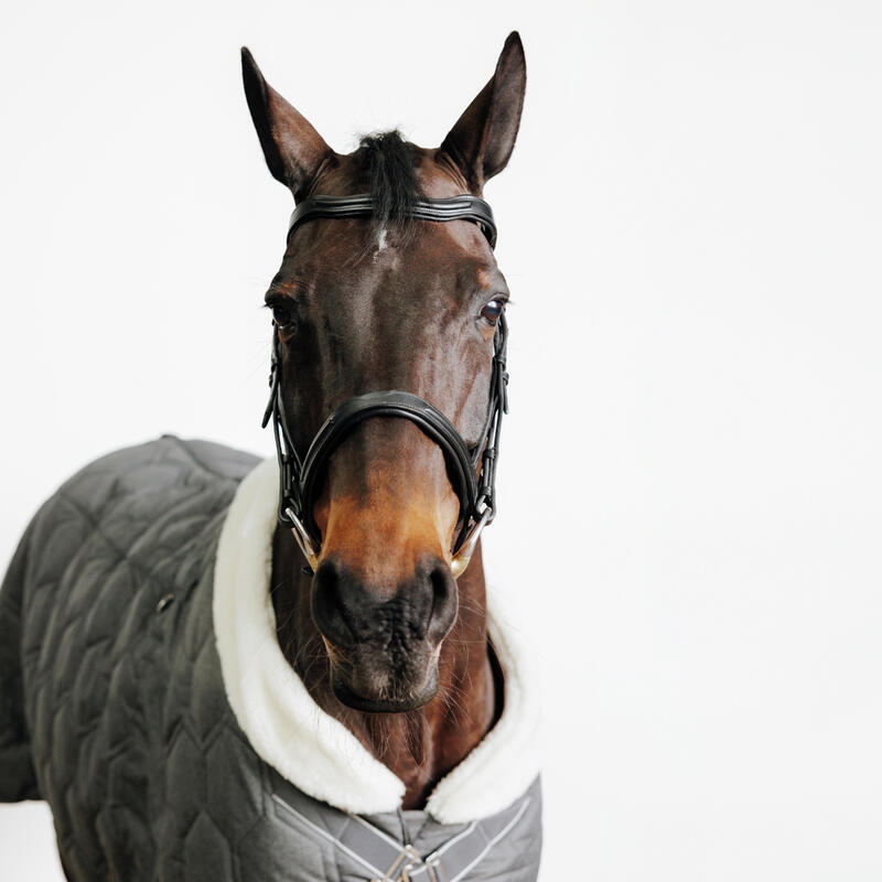 Cabeçada em Couro de Equitação Focinheira Francesa para Cavalo e Pónei 900 Preto