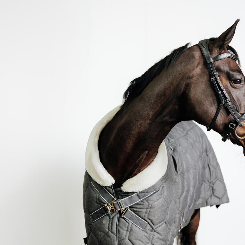 Filet équitation cuir muserolle française Cheval et Poney - 900 noir