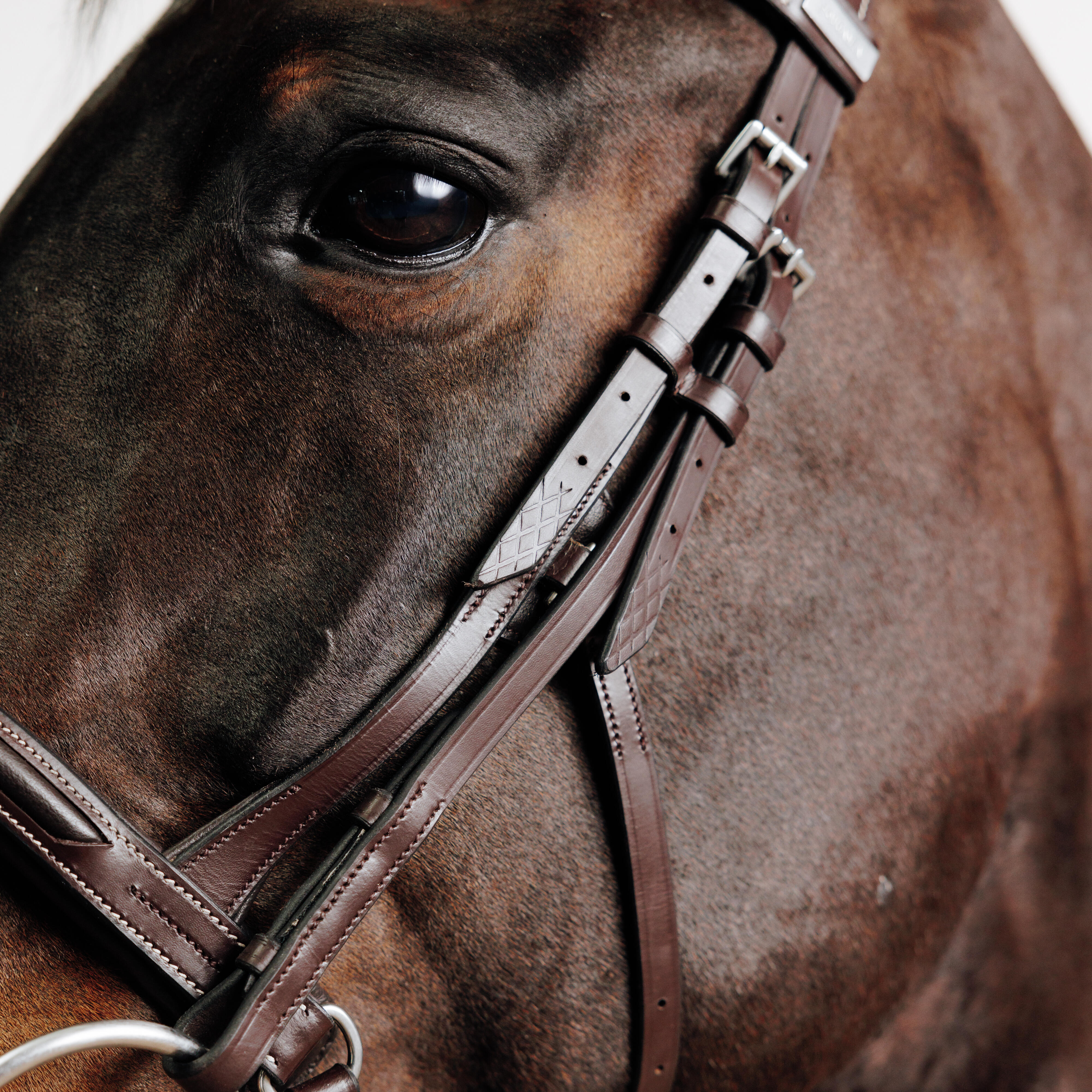Horse & Pony Riding Leather Bridle with French Noseband - 900 Brown - FOUGANZA