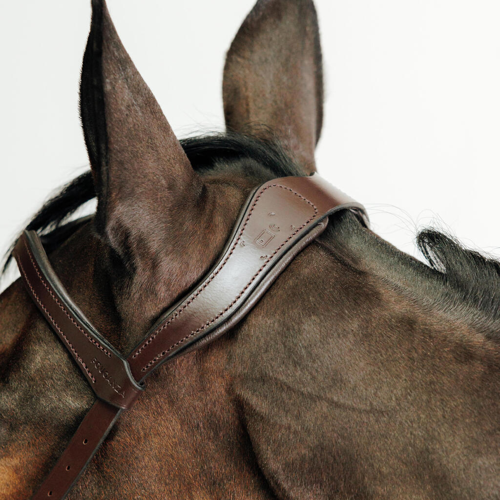 Horse and Pony Bitless Bridle - Brown