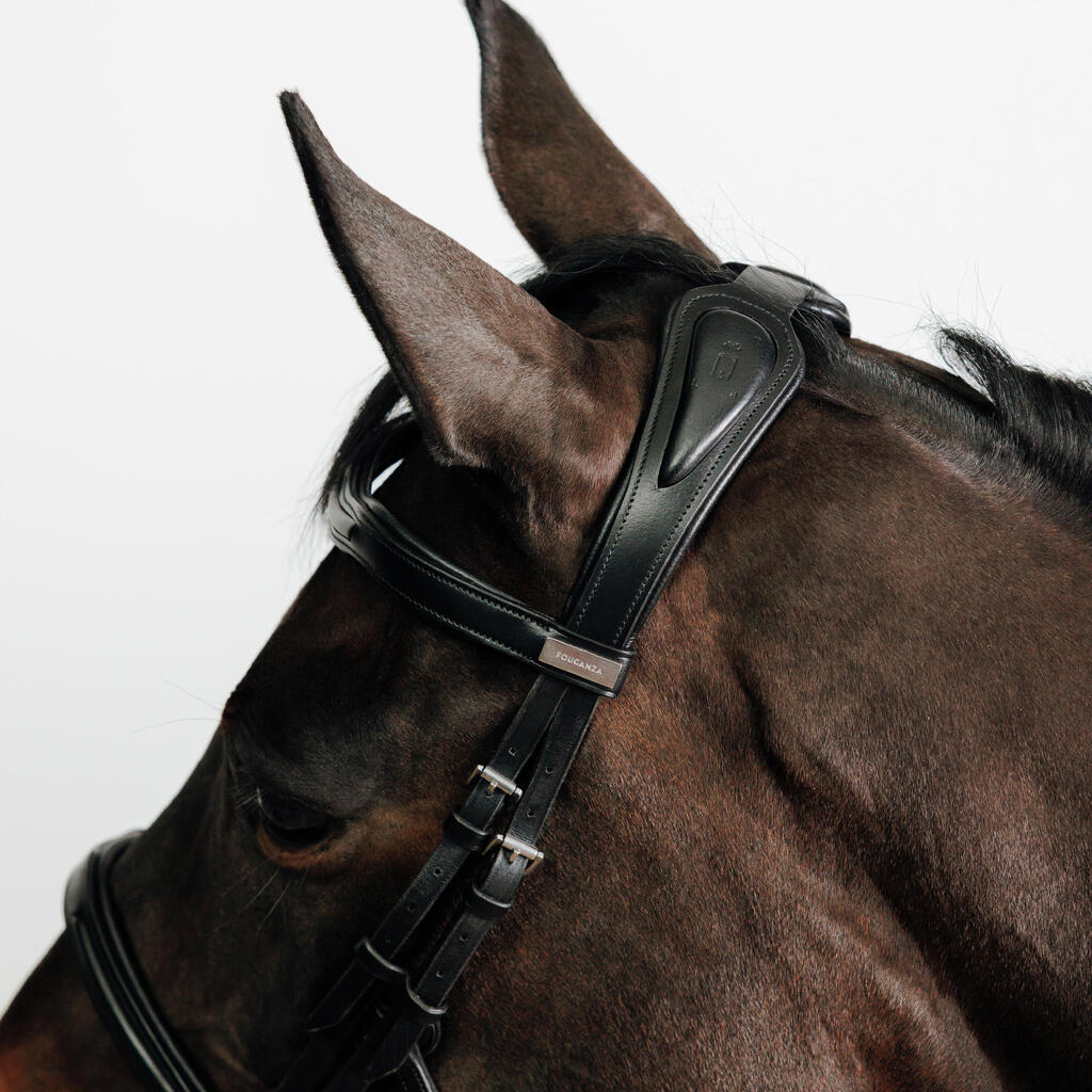 Zirgu un poniju jāšanas ādas iemaukti ar franču purna siksnu “900”, tumši brūni