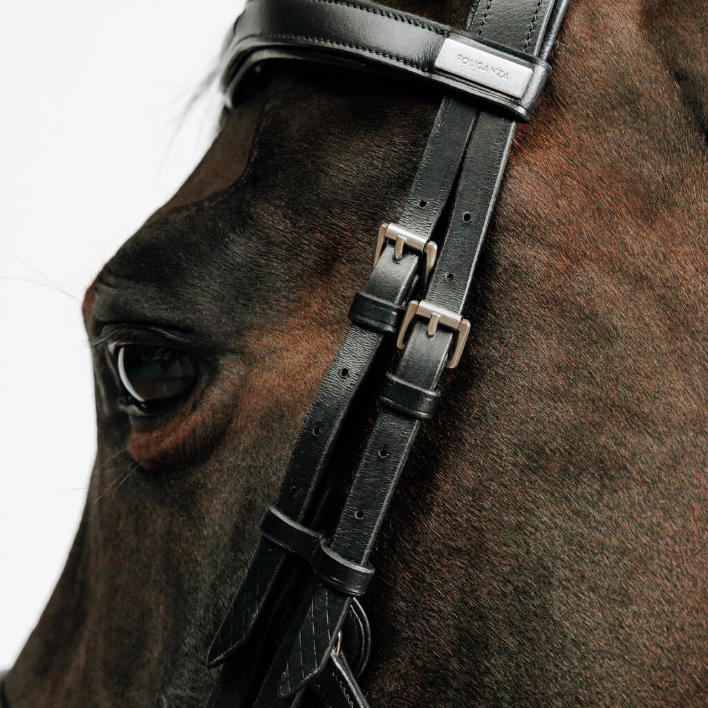 Horse Riding Horse & Pony Leather Bridle With French Noseband 900 - Dark Brown