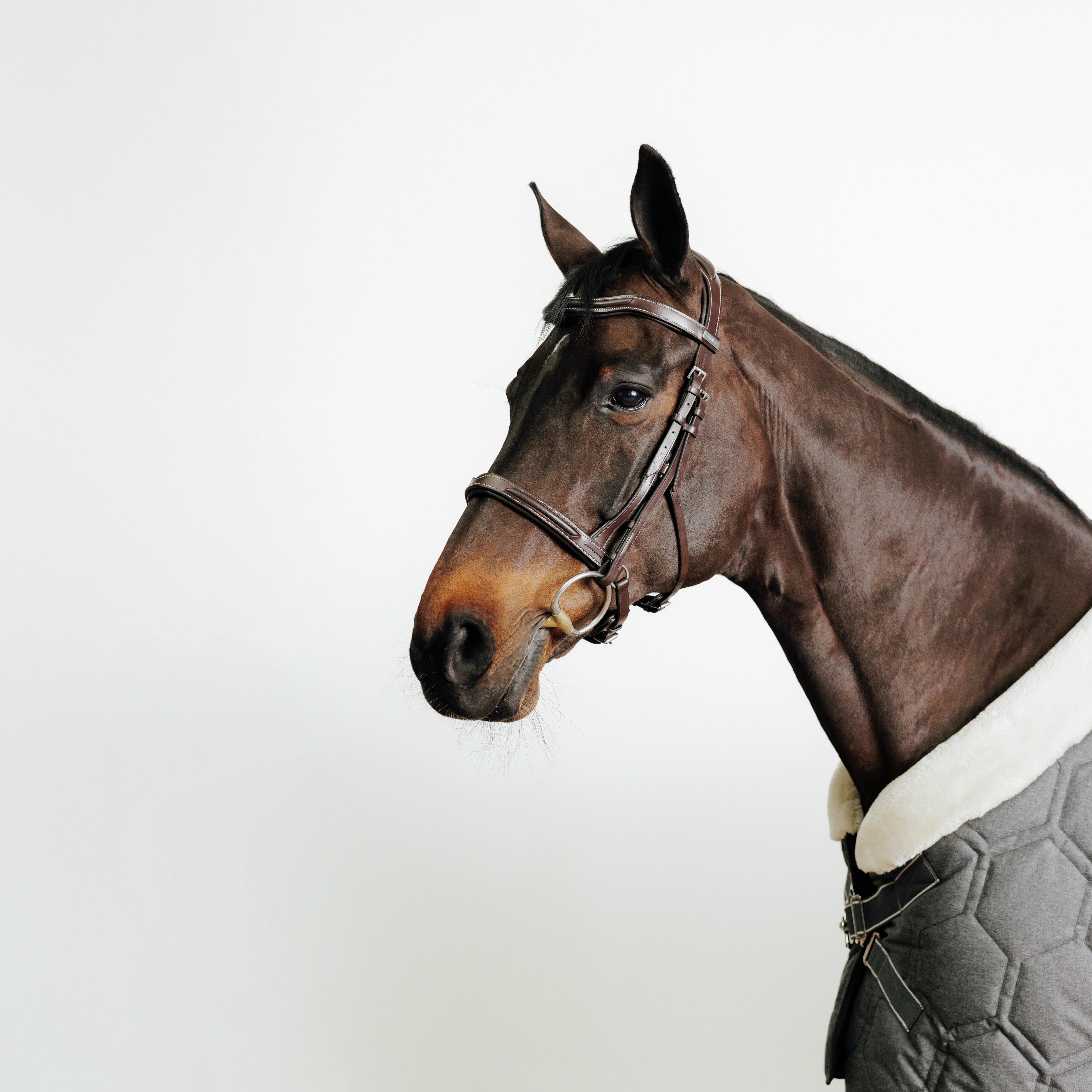 Horse & Pony Riding Leather Bridle with French Noseband - 900 Brown - FOUGANZA