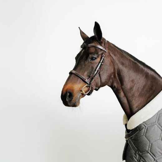 
      Oglavina s francuskim prekonosnim remenom za konje i ponije 900 kožna tamnosmeđa
  