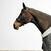 Filet sans mors équitation cheval et poney - noir