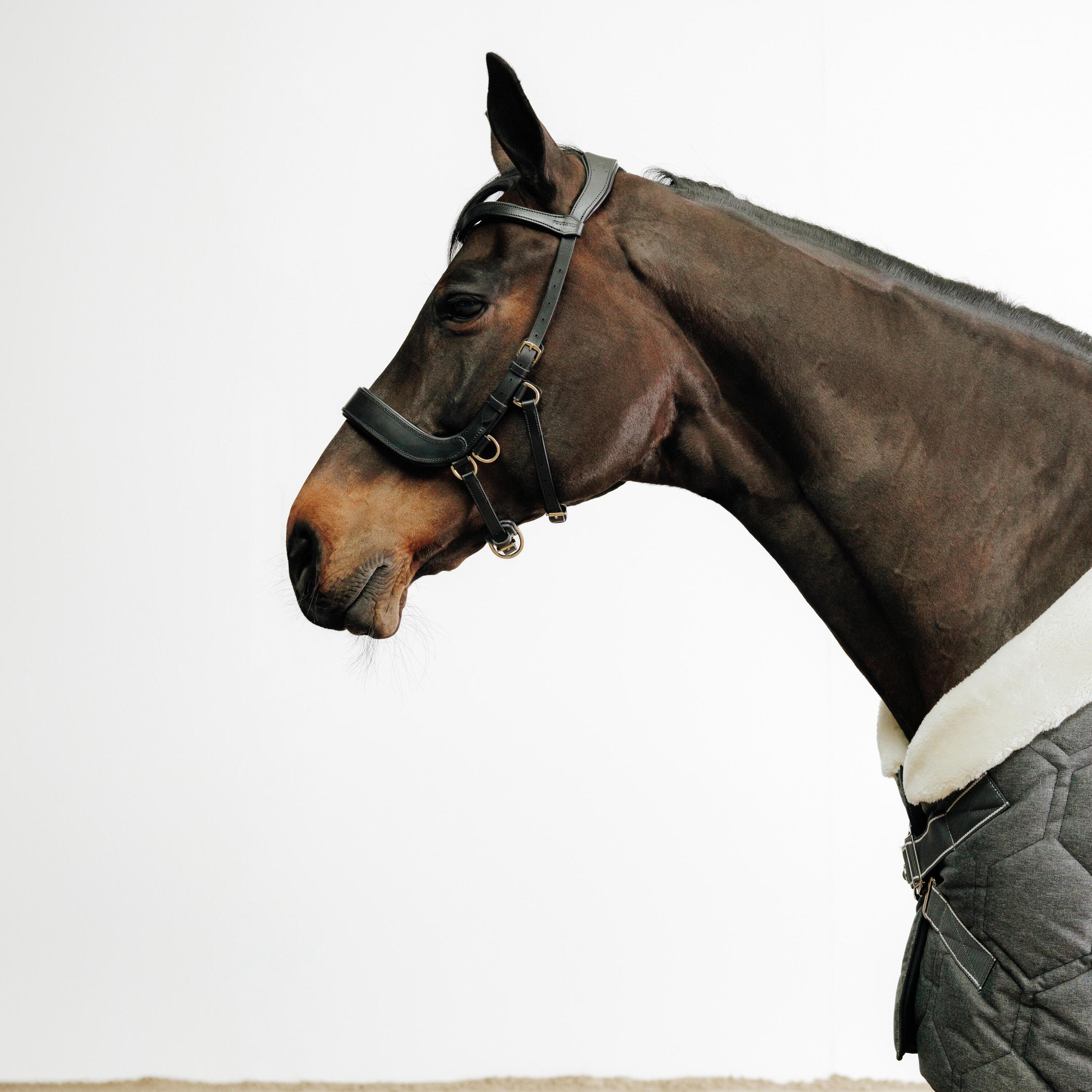 FOUGANZA Gebisslose Trense Pferd/Pony schwarz