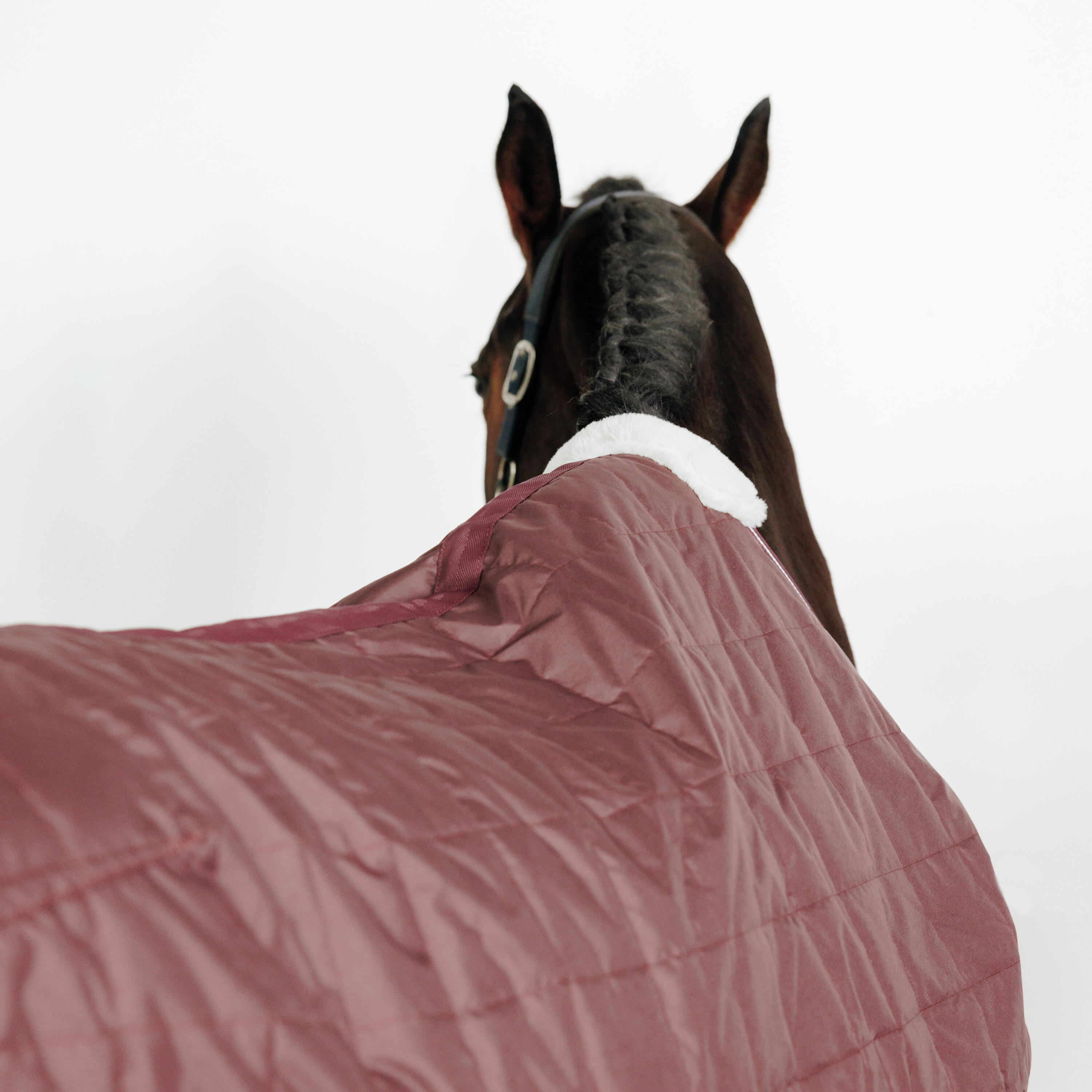 Stalldecke COMBO 50 Pferd/Pony bordeaux 7/13