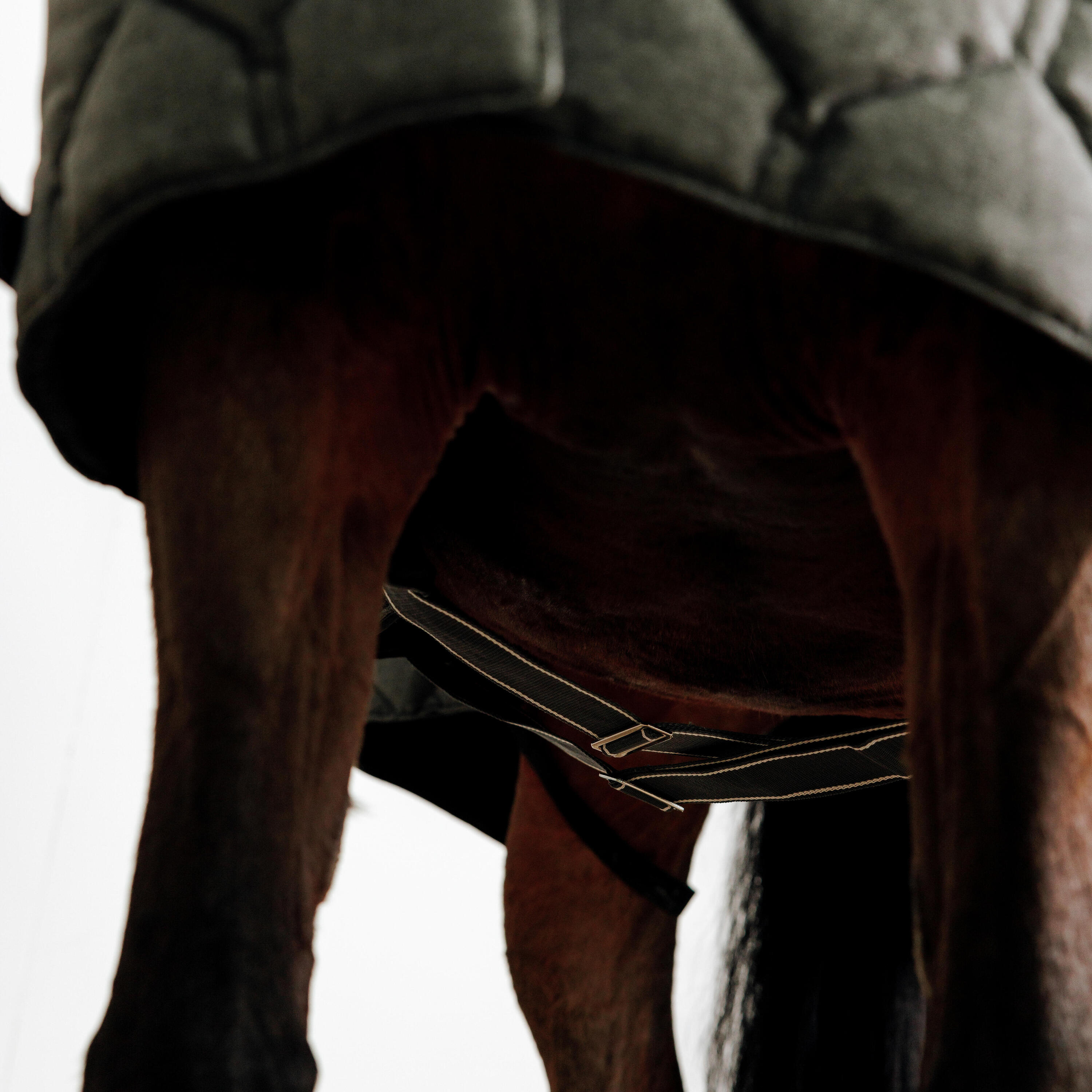 Stalldecke Combo Pferd/Pony - 400 dunkelgrau 5/11