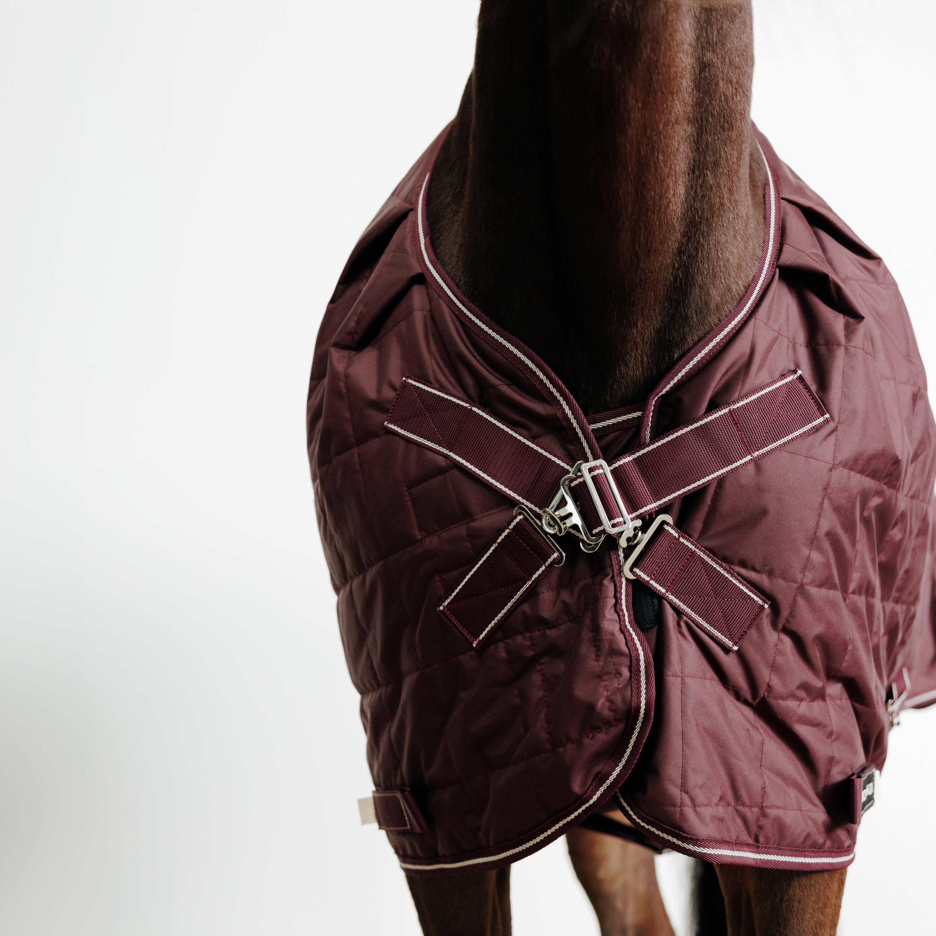 Stalldecke COMBO 50 Pferd/Pony bordeaux 2/13