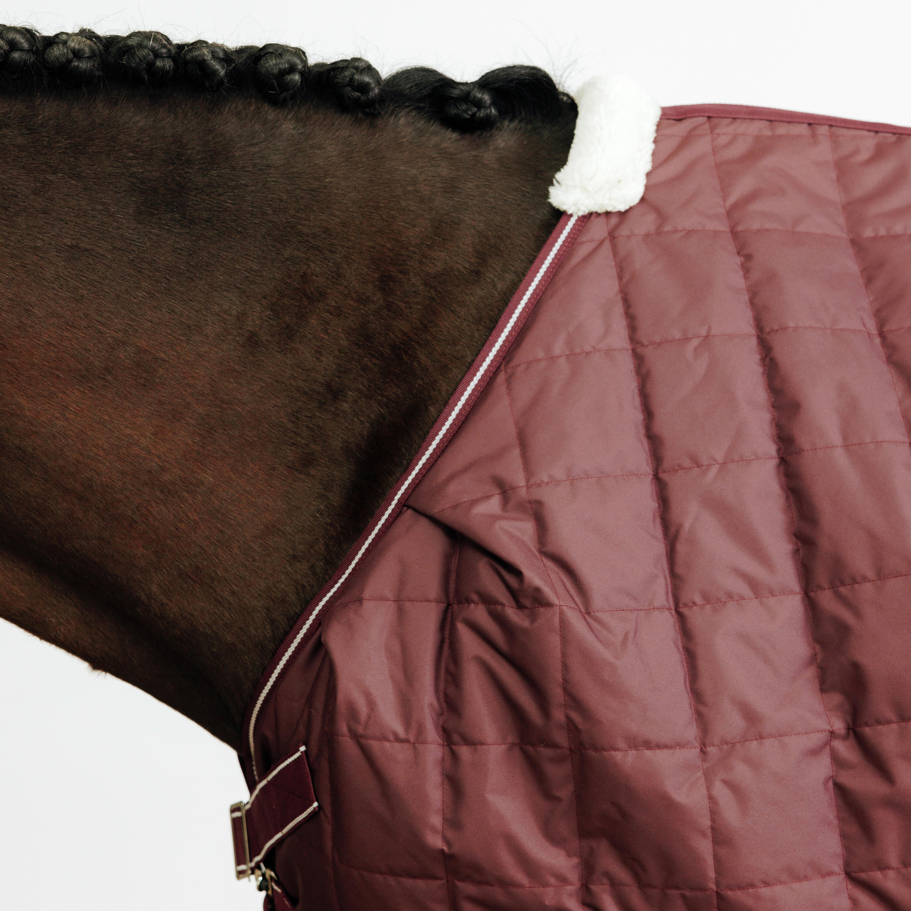 Stalldecke COMBO 50 Pferd/Pony bordeaux 3/13