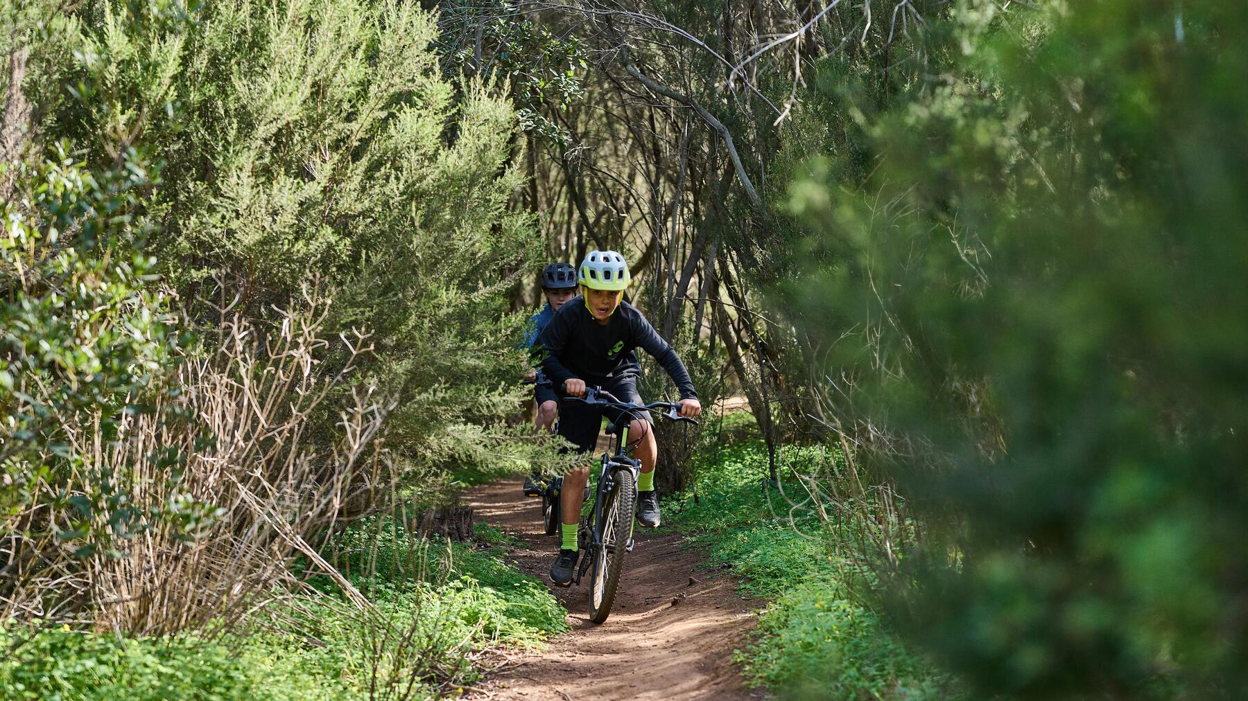 VOSGES : QUELS CIRCUITS VTT À FAIRE AVEC VOS ENFANTS ?