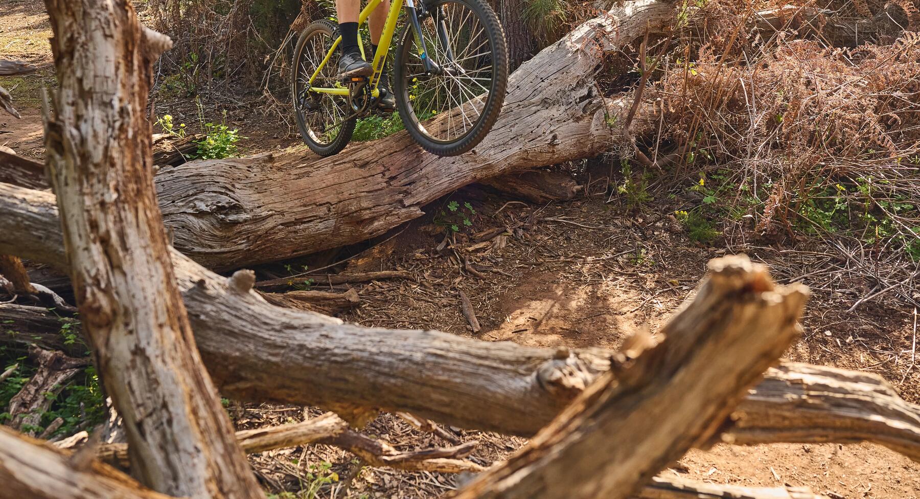 A mountain bike on loose woody terrain