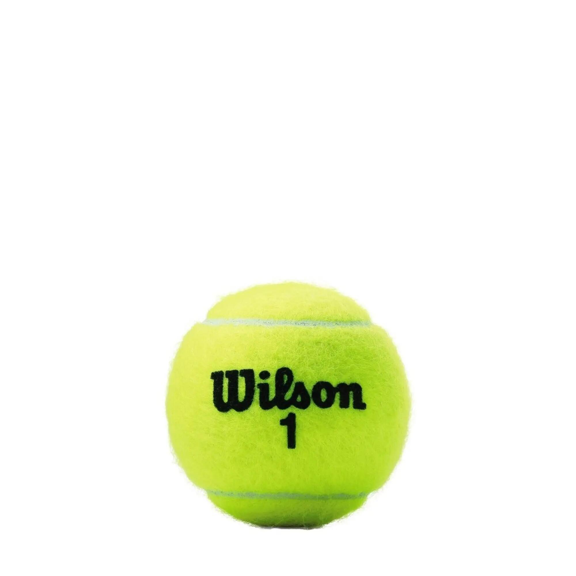 Pelotas de tenis para canchas de arcilla Wilson Championship 3/3