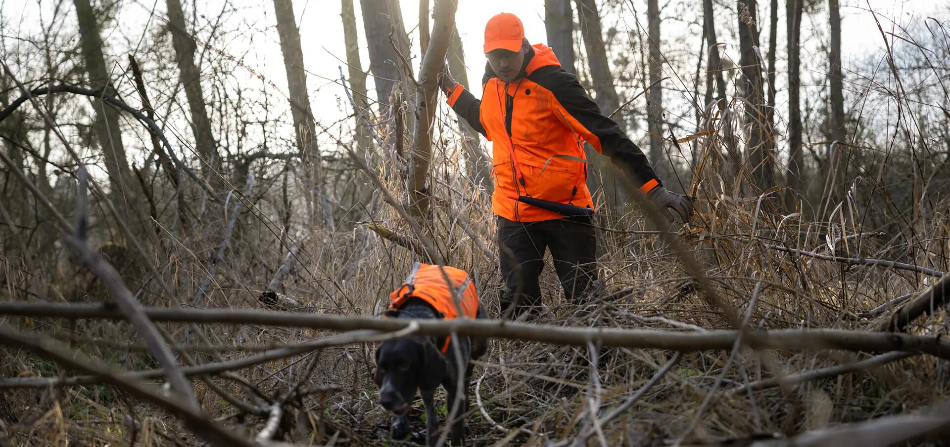 Traqueur en battue avec son chien devant lui