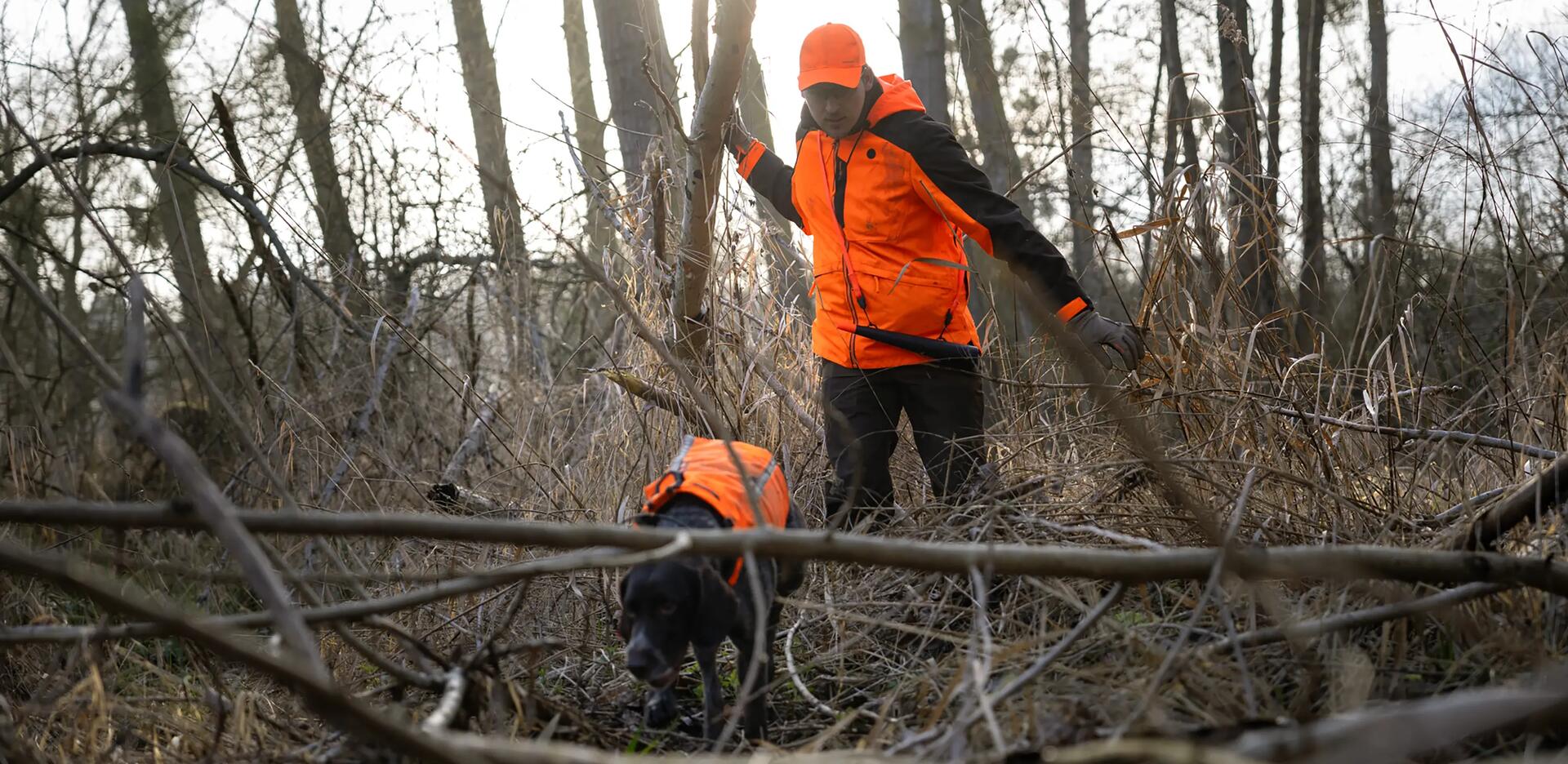 Comment choisir un gilet de protection pour chien de chasse